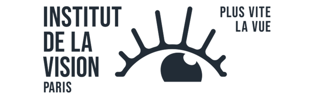 Nouveau logo Institut de la Vision