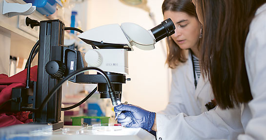Chercheuse observant au microscope
