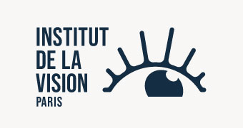 Logo de l'institut de la vision
